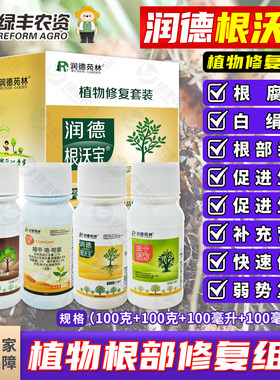 润德根沃宝快速生根壮根