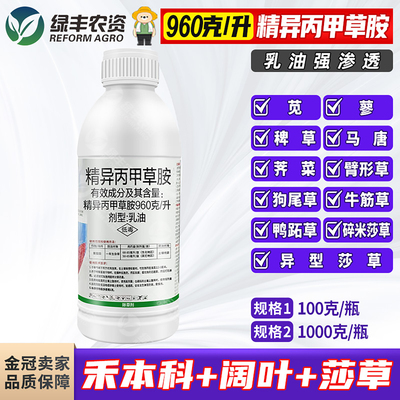 精异丙甲草胺苗前封闭除草剂