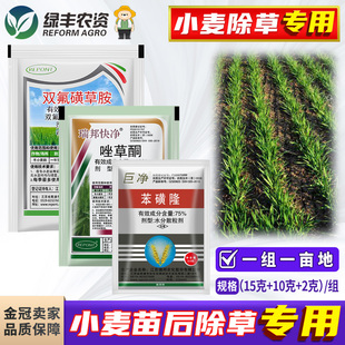 小麦田专用除草剂苯磺隆唑草酮双氟磺草胺阔叶杂草荠菜猪殃殃繁缕
