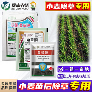 小麦田专用除草剂苯磺隆唑草酮双氟磺草胺阔叶杂草荠菜猪殃殃繁缕