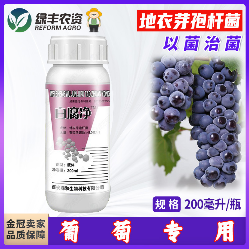 地衣芽孢桿菌菌肥白腐凈葡萄專用