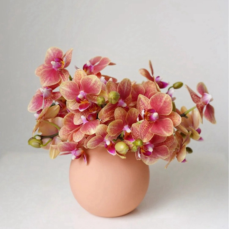 小品种稀有蝴蝶兰鲜切花高端花材婚礼商业鲜切北京同城顺丰闪送