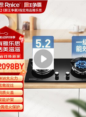 雅乐思燃气灶JZT-XS2098BY鸳鸯灶5.2KW大火力猛火双灶双眼灶家用