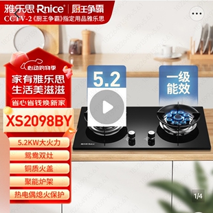 雅乐思燃气灶JZT XS2098BY鸳鸯灶5.2KW大火力猛火双灶双眼灶家用