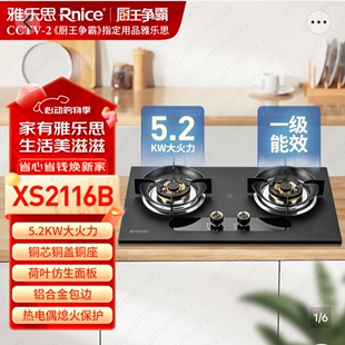 雅乐思燃气灶XS2116B铜盖5.2KW猛火飞机炉头上进风双灶台嵌两用灶