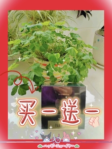 梵婕缇眼贴淡化眼袋抚平细纹补水滋润保湿金桂花眼膜贴正品