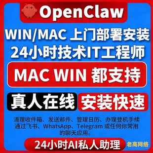 武汉市上门安装小龙虾Open Claw 智能AI智能服务网络服务数字化