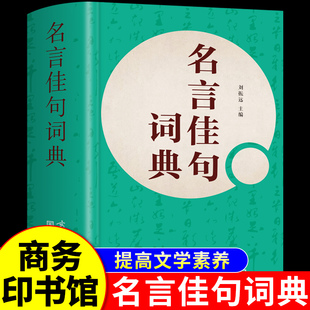 名言佳句词典作文素材好词好句好段摘抄本名人语录名词名句辞典大全格言警句大全初高中生青少年大学语文课外阅读书刘振远正版书Q