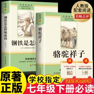 初中生初一7配套人教版 骆驼祥子和钢铁是怎样炼成 原著课外阅读书籍老舍无删减老师推荐 七年级下册必读书正版 教材课本整本 完整版