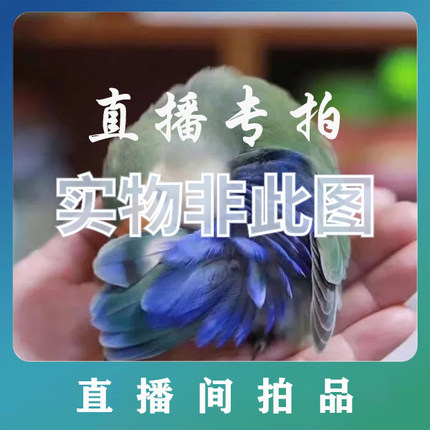 直播专拍，以直播间实物为准