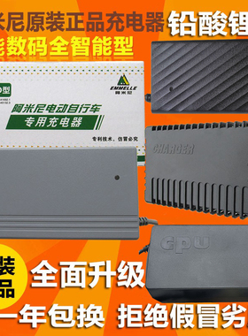 阿米尼电动车原装充电器CQ4815D48V60V24Ah72V川奇电瓶车充电器正