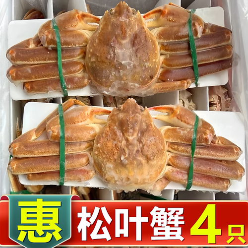 俄罗斯鲜活速冻松叶蟹板蟹长脚蟹