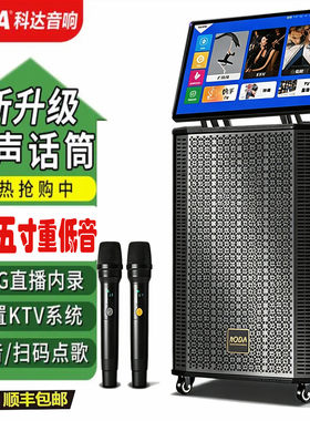 科达户外拉杆音箱KTV双麦直播