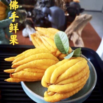 【佛手6月上市】金华佛手鲜果 花卉 佛手柑 闻香 清供把玩 插花瓶