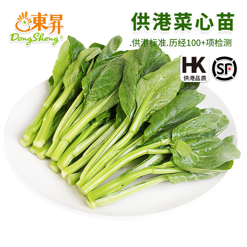 东升农场 供港宁夏菜心苗 菜薹苗 火锅食材 广州新鲜配送250g