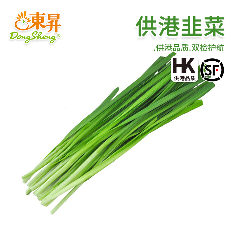 东升农场 供港韭菜鲜嫩清香 低脂凉拌烧烤食材 广州新鲜配送150g