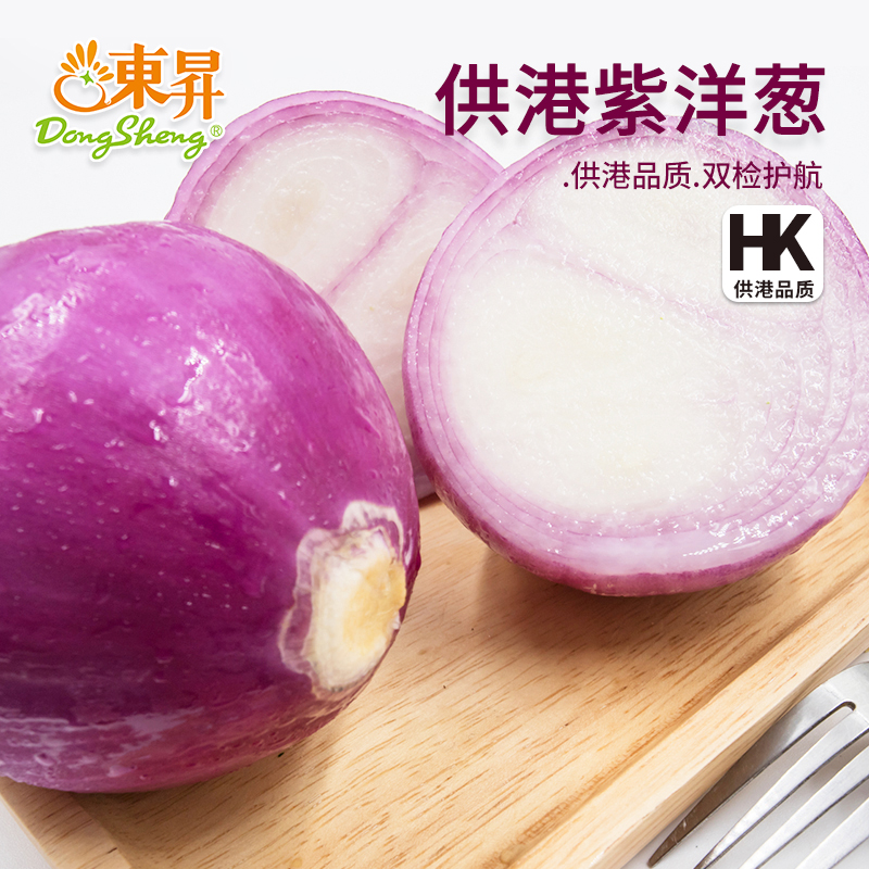 东升农场紫皮洋葱新鲜广州圆葱