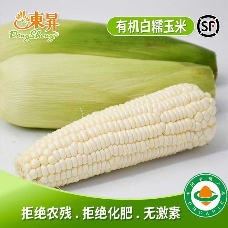 东升农场 有机白糯玉米  广州发货新鲜蔬菜500g图片