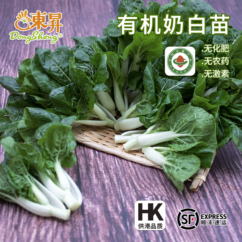 东升有机奶白苗有机种植安全健康