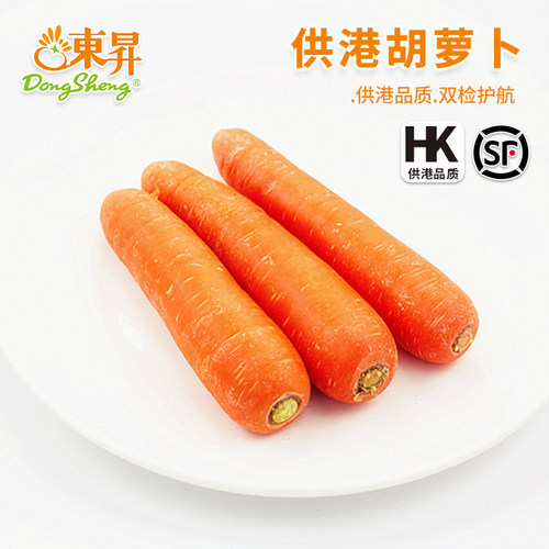 东升农场 供港红萝卜胡萝卜甜脆红皮红心 火锅食材煲汤榨汁400g - 封面