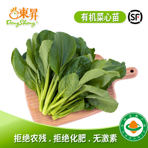 东升农场有机菜心苗小宝宝辅食
