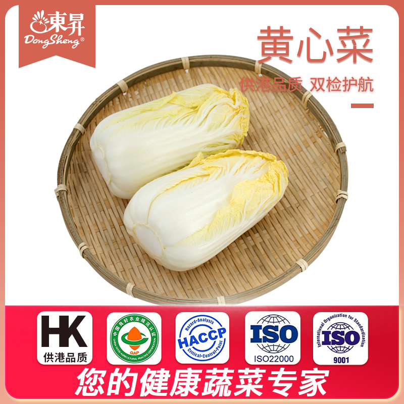 东升农场广州新鲜配送500g黄心菜