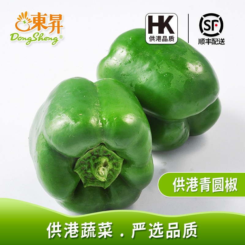 东升农场 供港青圆椒 青椒灯笼椒 供港蔬菜 烧烤 广州鲜配送400g