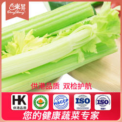东升农场 供港西芹 新鲜西芹菜轻食 养生 广州蔬菜新鲜配送 700g