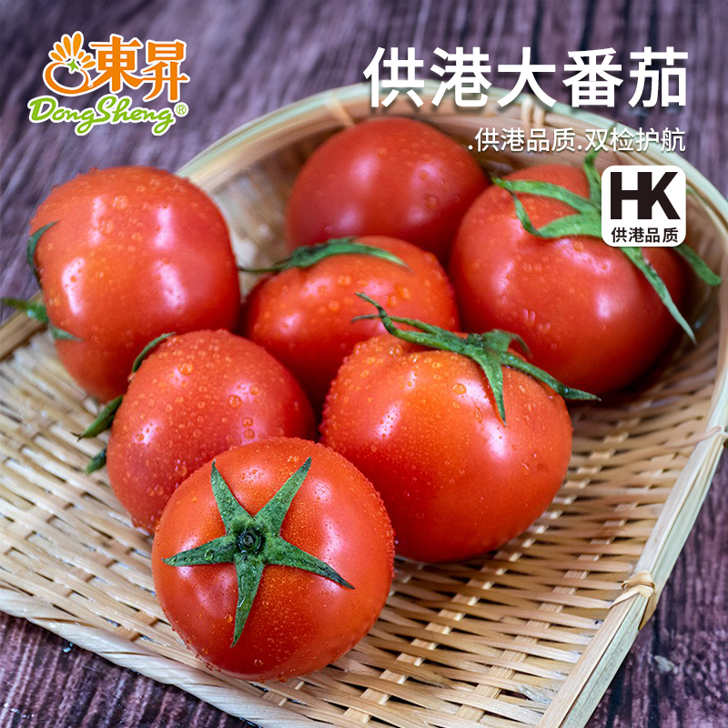 东升农场大红番茄新鲜孕妇水果