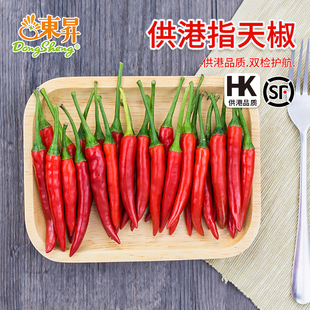 东升农场  供港指天椒  小米红辣椒长柄椒 广州蔬菜配送 3斤/5斤