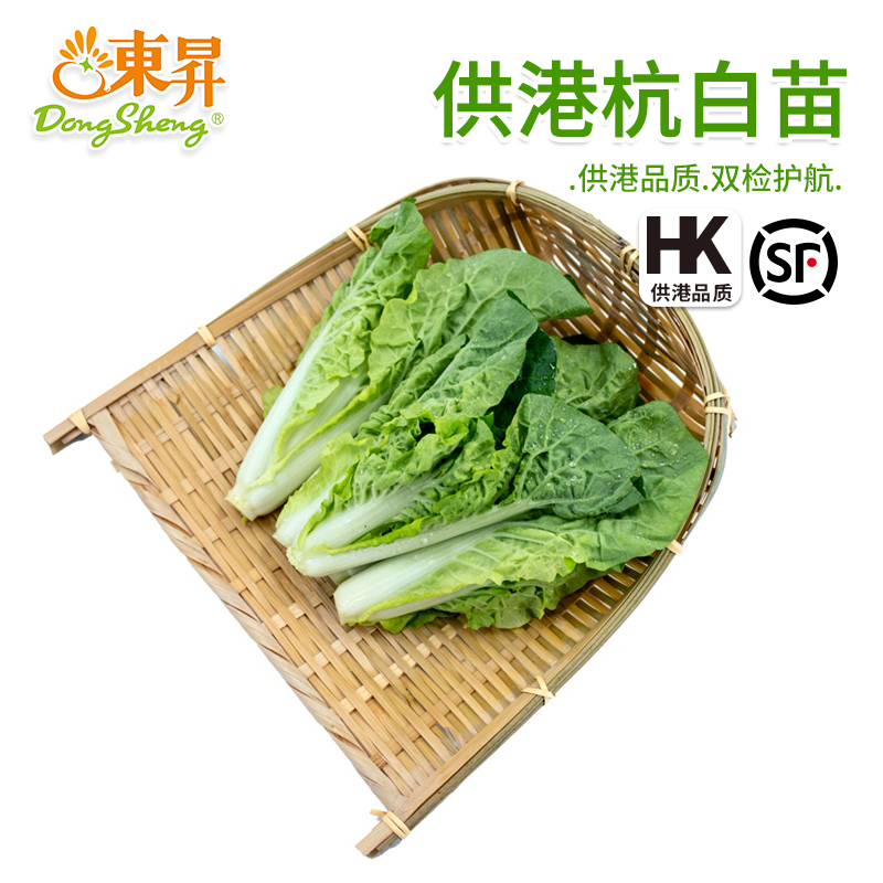 东升农场供港杭白菜东升