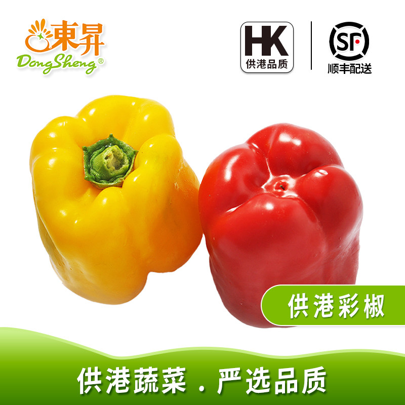 东升农场 供港彩椒 沙拉蔬菜圆椒灯笼椒 烧烤 广州新鲜配送 400g