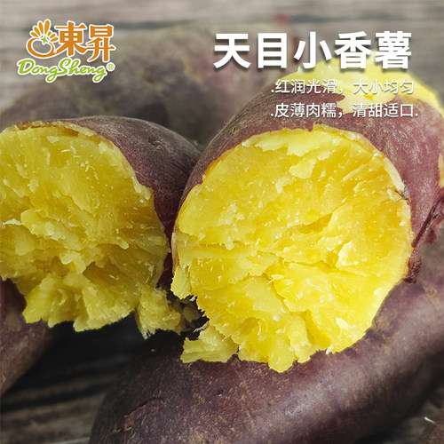 东升红薯天目山新鲜配送