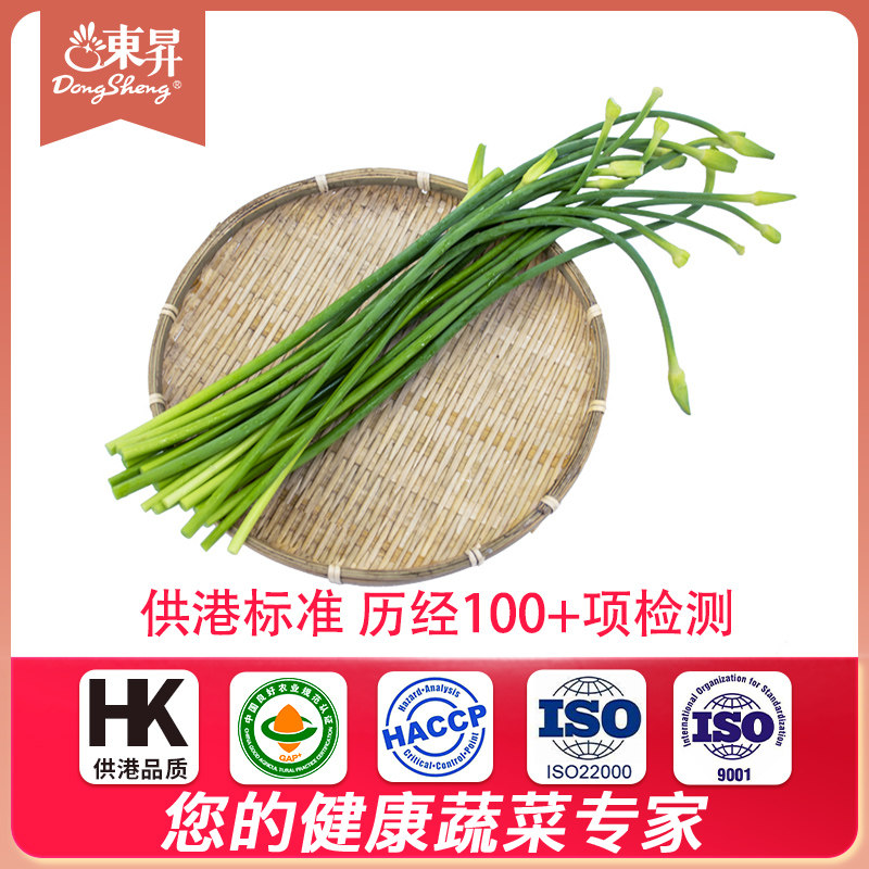 东升农场 蒜心新鲜蒜台蒜薹鲜嫩现摘 烧烤 广州新鲜配送300g