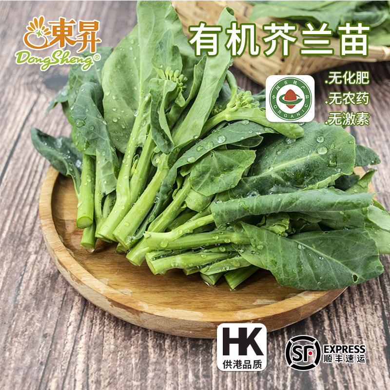 东升农场 有机芥兰苗 芥蓝苗 广州有机新鲜蔬菜配送 250g