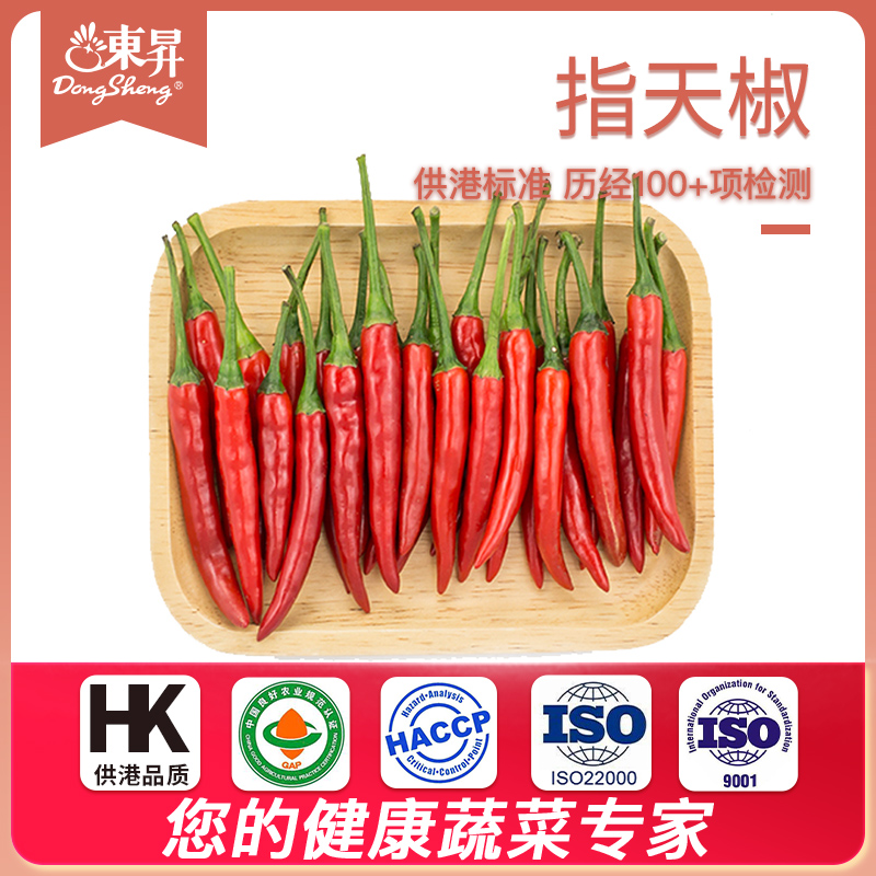 东升农场小米广州配送100g指天椒