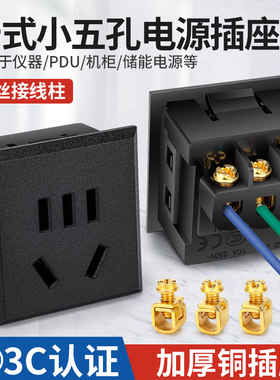 嵌入式国标AC小型五孔电源插座模块10A二三插5孔机柜储能充电插座