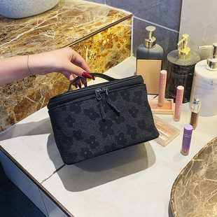 化妆包女2025新款大容量简约手提洗漱袋外出旅行便携高颜值收纳包