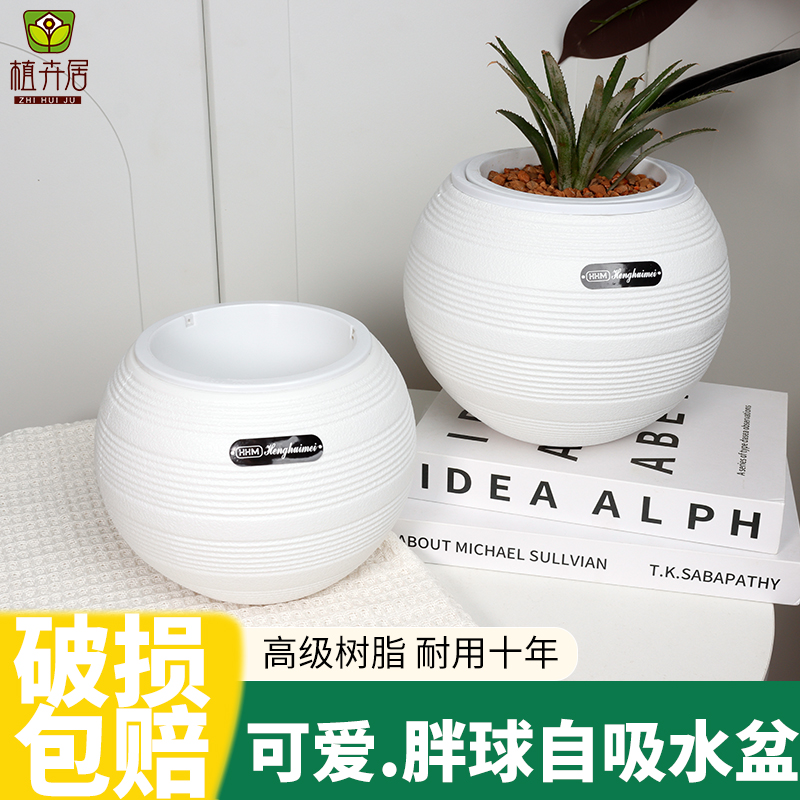 树脂简约简约自吸水懒人盆