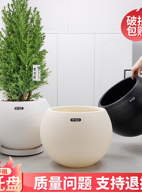 植卉居北欧风高颜值加厚塑料花盆客厅轻奢高级感养青松天堂鸟花盆