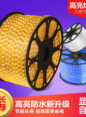 LED灯带5050软灯条3014客厅高亮吊顶彩色防水光带七彩线霓虹灯带