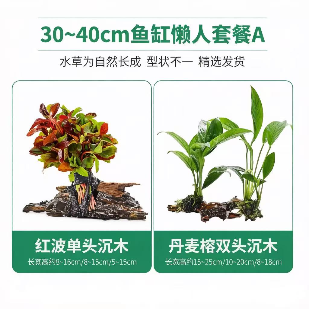 鱼缸沉木水草植物懒人水草活体阴性净水增氧造景套餐无CO2低光