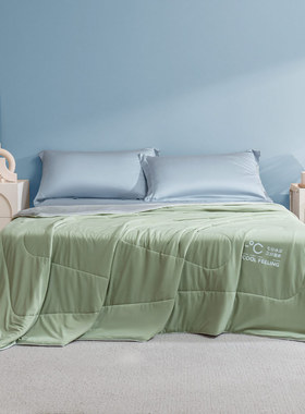 GIVERNYHOME新款A类母婴级抗菌凉感大豆纤维蚕丝夏凉被可水洗被芯