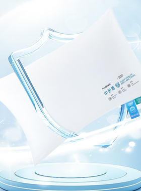 GIVERNY HOME酒店款拒污防水抗菌纤维枕护颈睡眠男女一对装2只