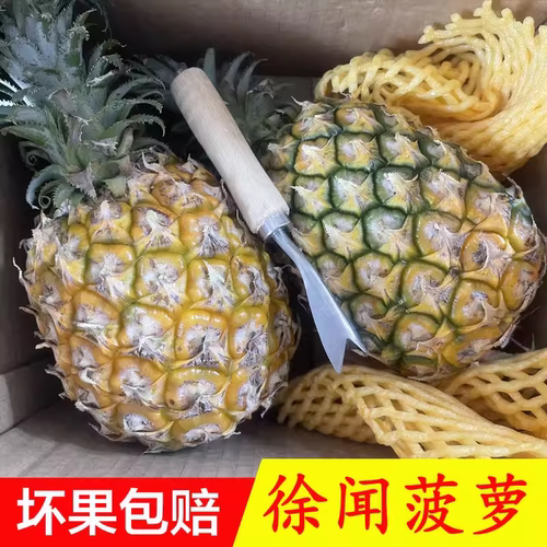 新鲜徐闻菠萝应季水果