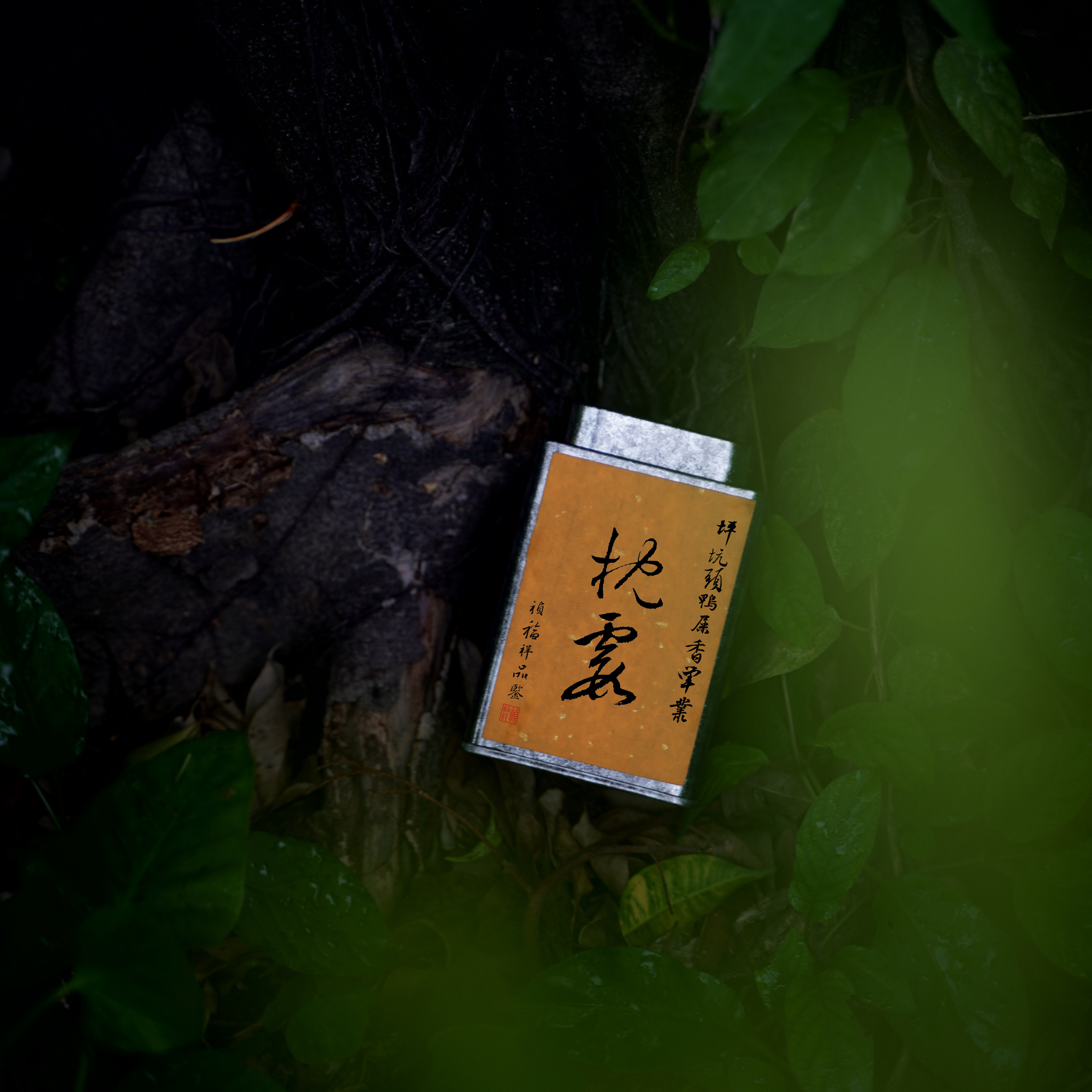 祯福祥 枕霞 坪坑头鸭屎香 高山茶 凤凰单丛