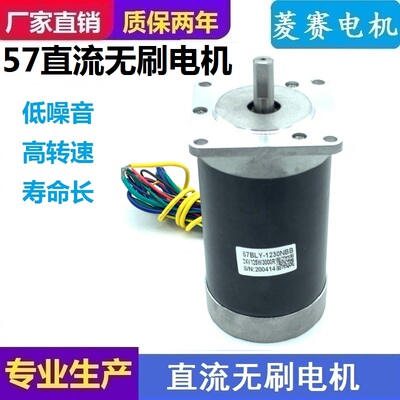 BLD-300B直流无刷电机马达