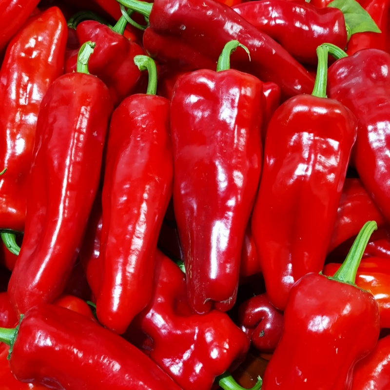安徽和县现摘现发新鲜红辣椒微辣大红泡椒牛角椒红灯笼椒做辣椒酱
