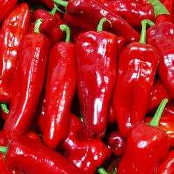 安徽和县现摘现发新鲜红辣椒微辣大红泡椒牛角椒红灯笼椒做辣椒酱