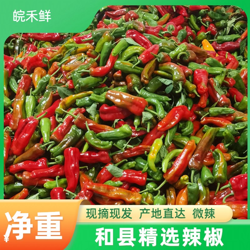 安徽和县现摘现发混装花色辣椒